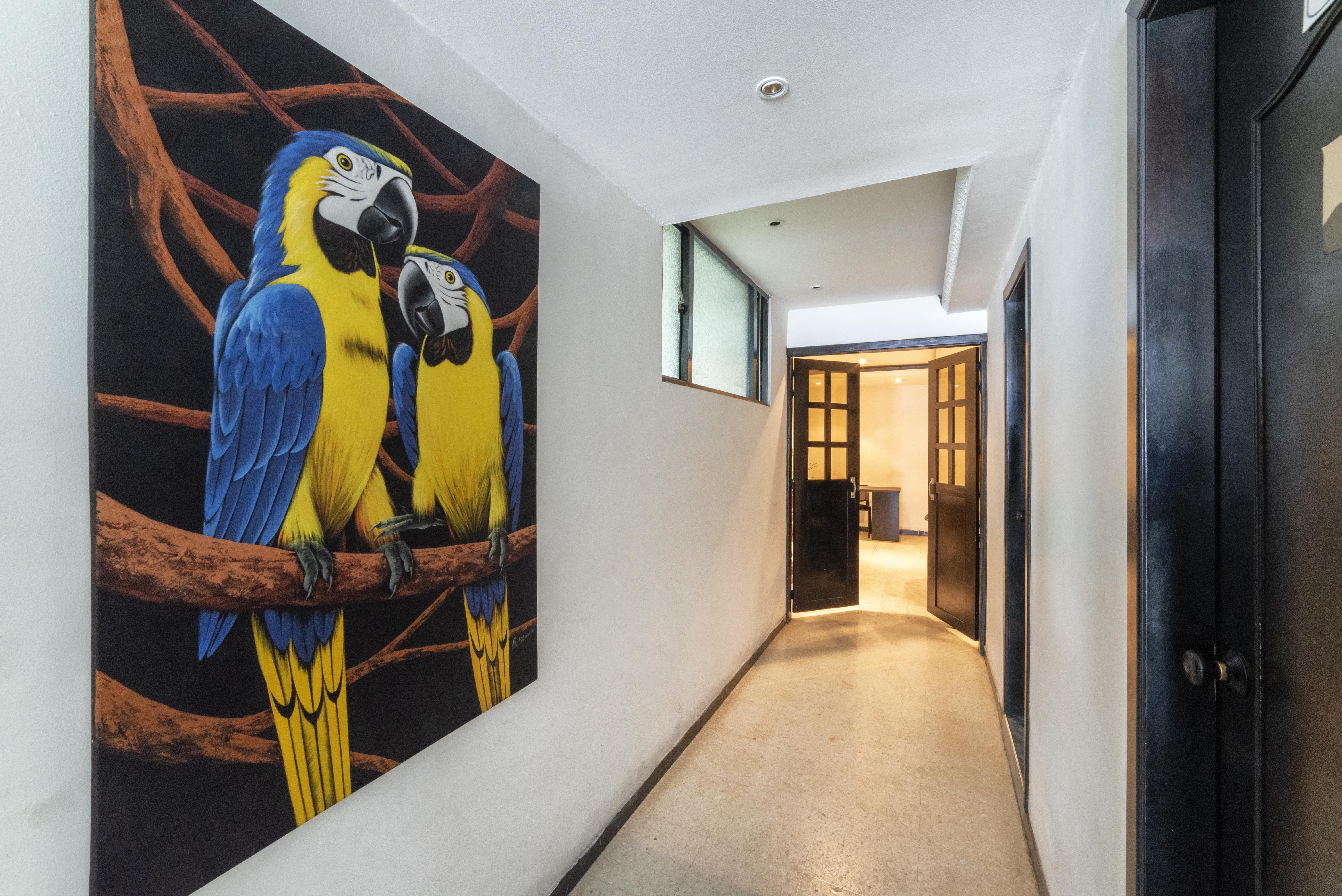 Hotel Elegant Suite Bogotá Dış mekan fotoğraf